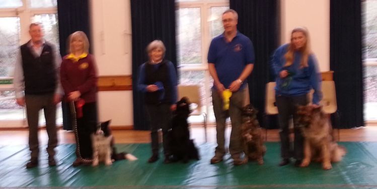 Winners in Beginners