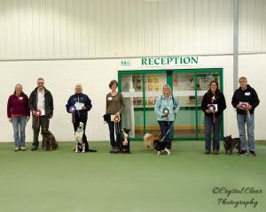 10552451_10206631792744413_3161783309937392067_n (1)