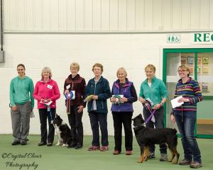 11252491_10206631792704412_1429384118706740763_n