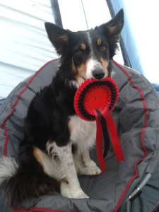 Nettle 20150509_175946