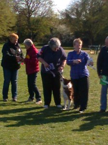 OXHEY NOV BITCH 2015. 2
