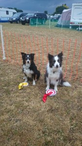 Jagger and Genie Sunbury