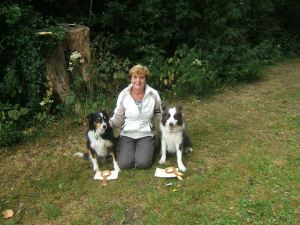 11698717_10153504300428746_6614430037034931304_n