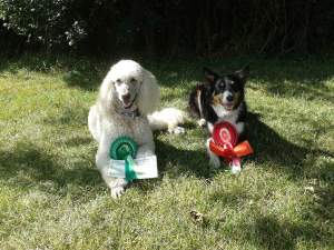 Nettle and Tula Andover