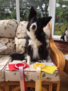 Abby Burnham July 2015