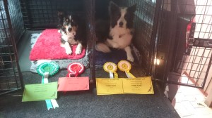 Genie and Jags Ditton 2015