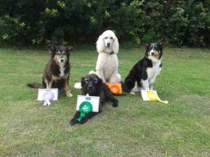 Sue Gunson North West Kent 2015