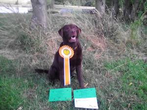 Vinnie - Rugby Rally August 2015