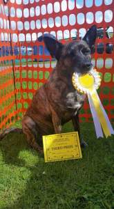 Zeb - Lune Valley August 2015