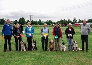 Genie -second open C Worcester