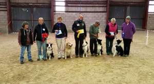 Ally and Merlin at East Grinstead 2015
