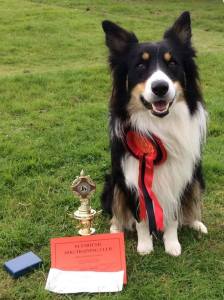 Hobbit first Plymouth