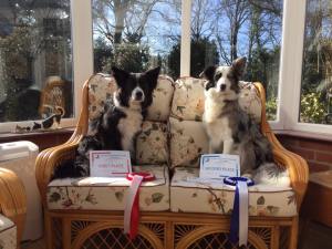 Abbi and Anna Burnham 3-16