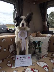 Anna MIdlands BC 3-2016