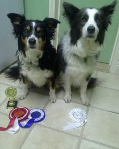 Genie and Jag Midlands BC 4-2016