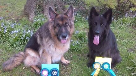 Luka and Kara 4-2016