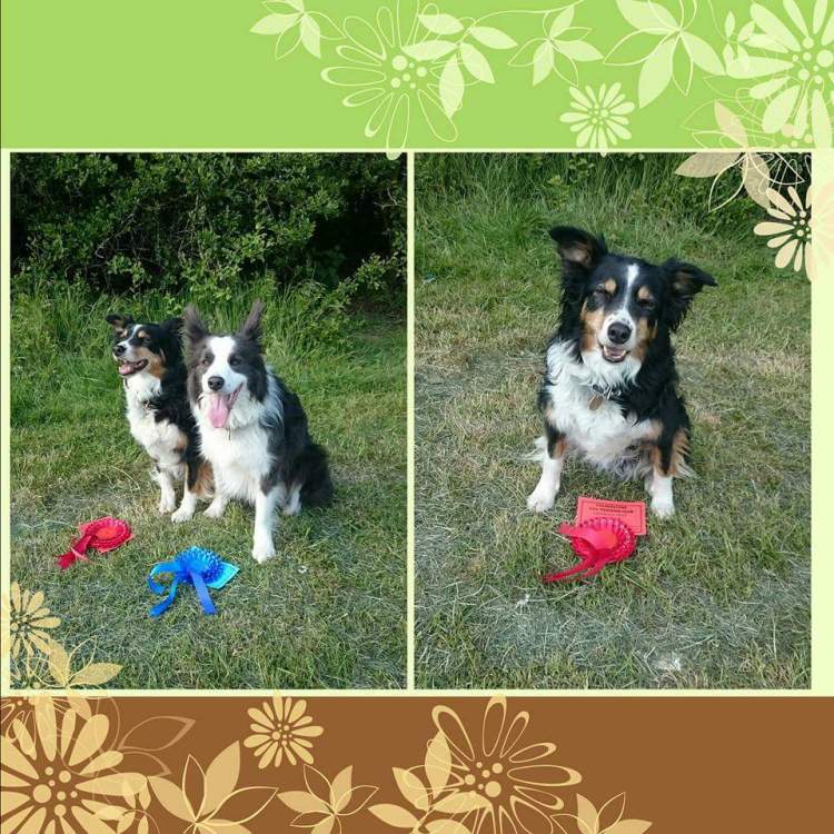 FB_IMG_1463385386013