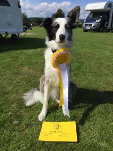 Anna Burnham 2016 3rd A