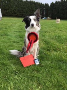 Anna Plymouth 15-5-16