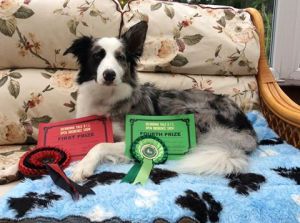 Anna Sherbourne 2016