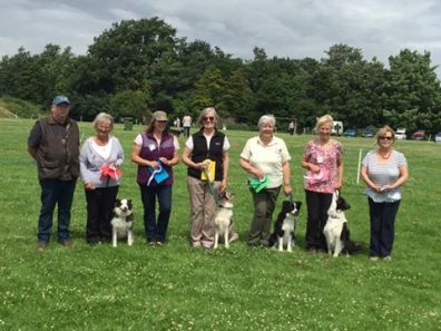 Anne Martin and Swift Eastleigh novice 2016