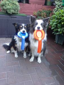 Genie and Jags Andover 2016