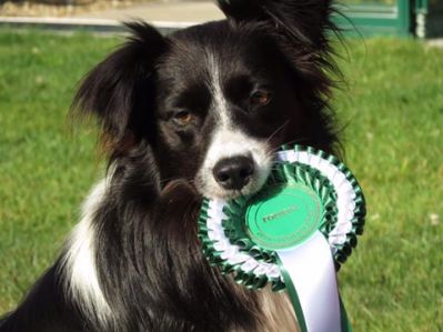 Isabel and Flossie Burnham 4th Novice 2016