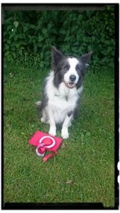 Jagger Petersfield 2016