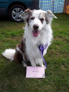 Lyken 5th Ditton 20-8-16