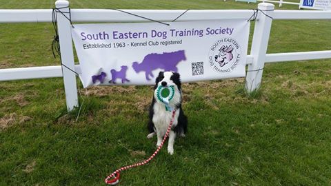 Merlin 4th South Eastern June 2016