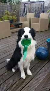 Merlin 4th WCDTC 2016