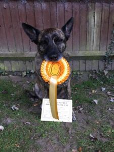 Zeb 3rd Andover 2016