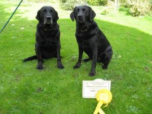 esther-third-east-grinstead-2016