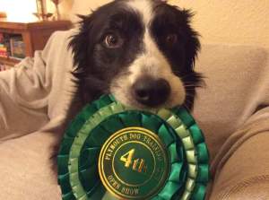 flos-plymouth-1st-and-2nd-oct-2016-4th