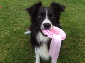 flos-plymouth-1st-and-2nd-oct-2016