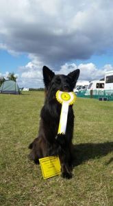 kara-third-novice-bitch-thurrock-2-10-16