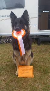 luna-6th-beginners-elm-park-1-10-16