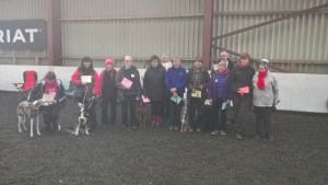 wp_20161204_12_49_11_pro-level-3