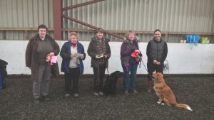 wp_20161204_12_53_32_pro-level-4