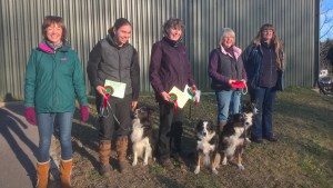 wp_20161204_14_13_57_pro-levle-6